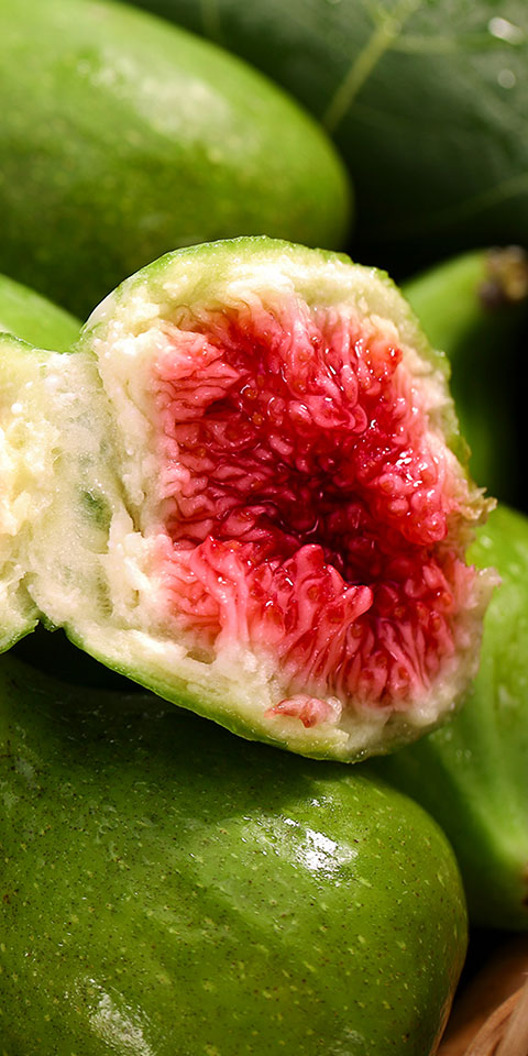 無(wú)花果
